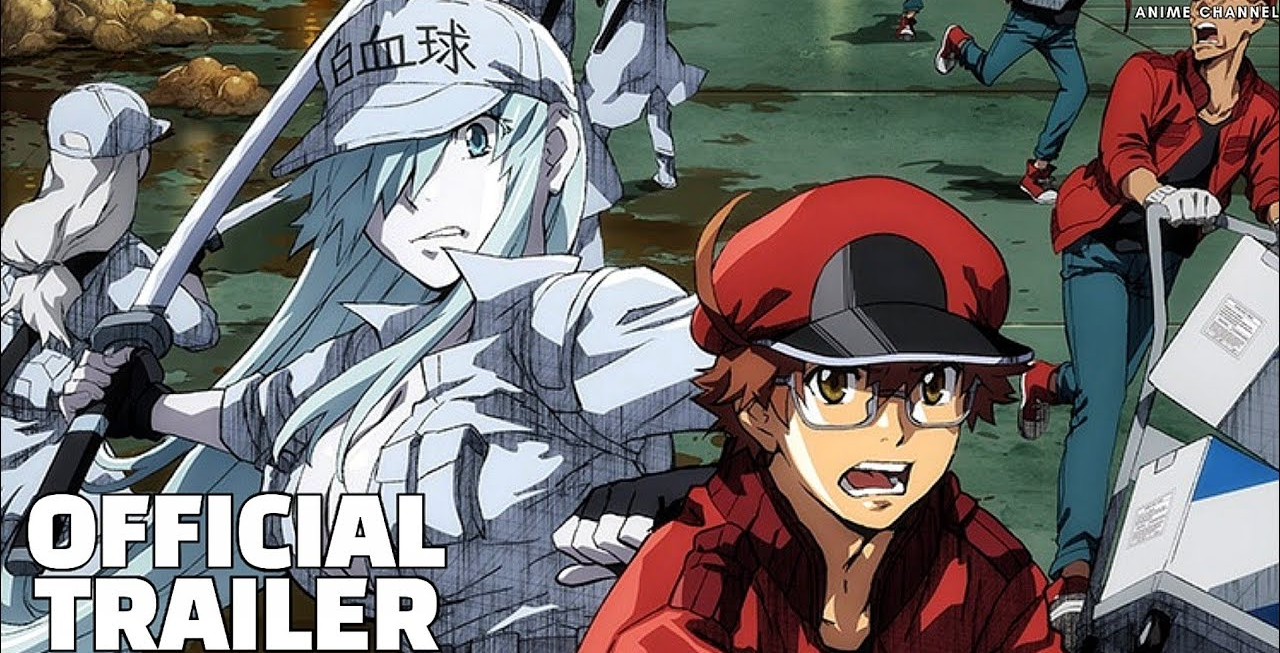 Hataraku Saibou Black (TV)